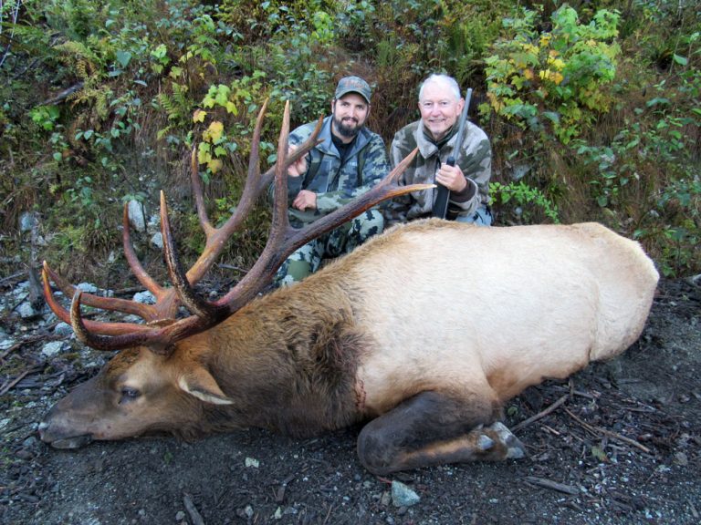 roosevelt-elk-hunting-bc-15